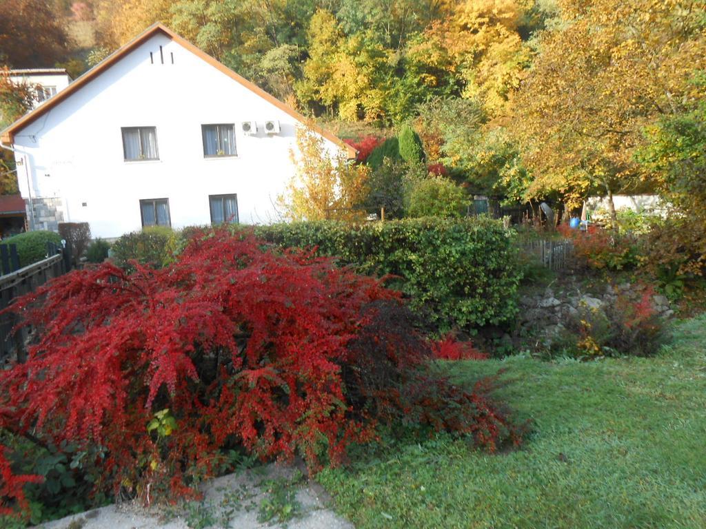 Hotel Pereszlenyi Vendeghaz Visegrád Zewnętrze zdjęcie