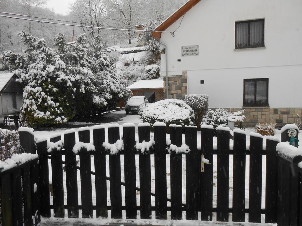Hotel Pereszlenyi Vendeghaz Visegrád Zewnętrze zdjęcie